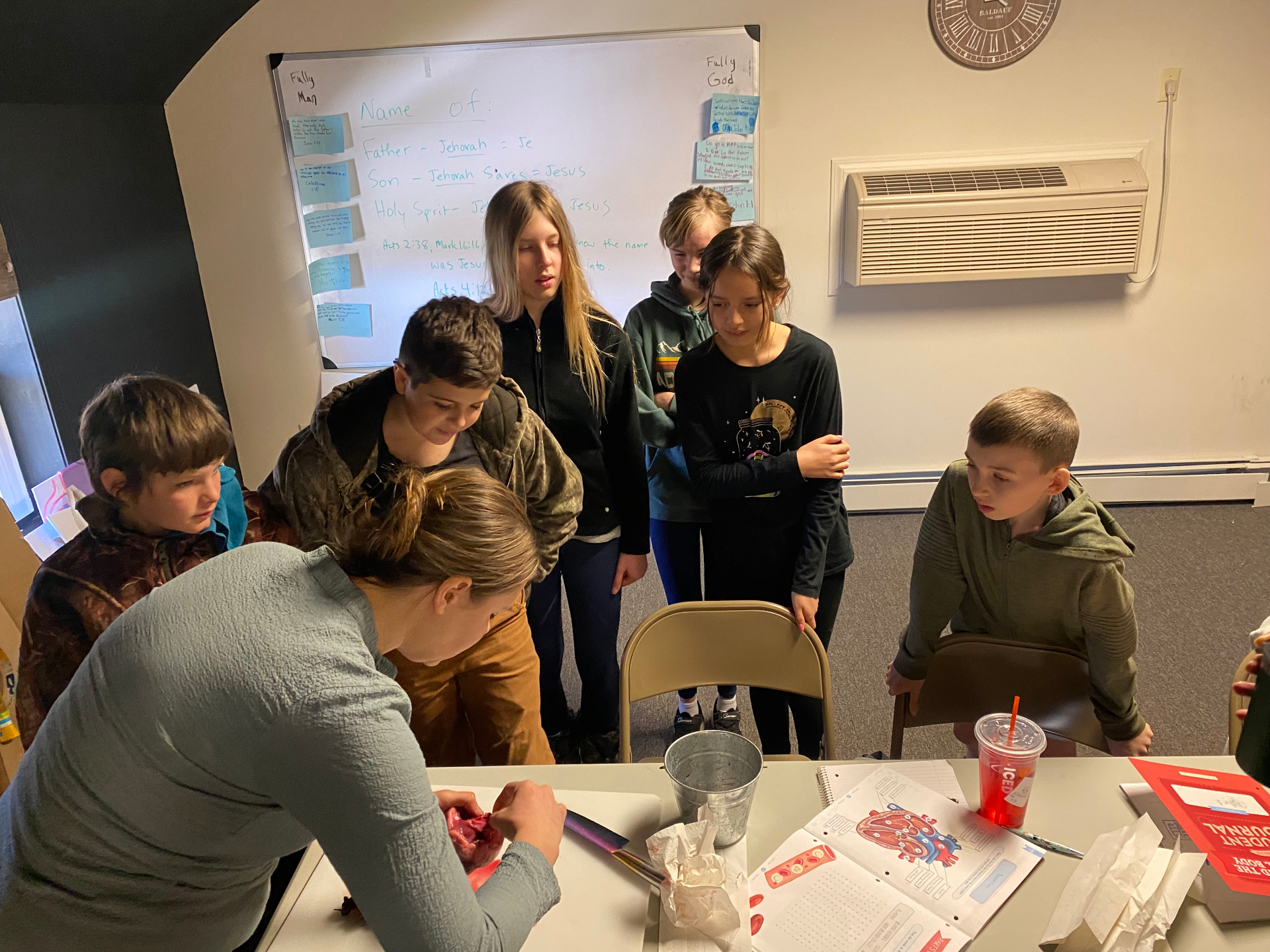 Students gathered around a hands-on anatomy lesson